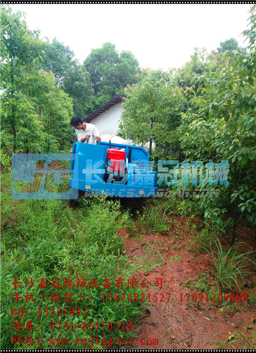 3履带运输车实地运输图片www.csjiaguan.com