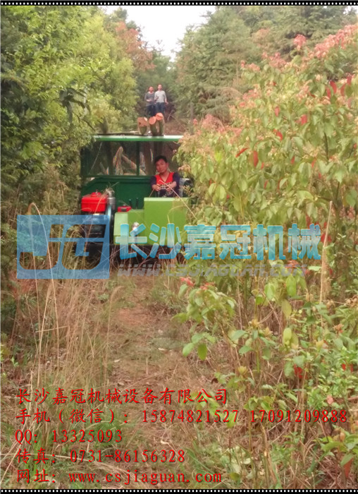 木材、竹子、毛竹履带运输车3