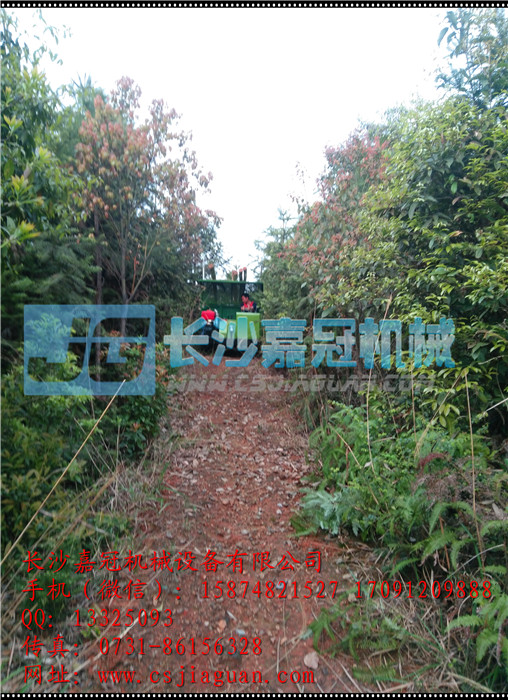 木材、竹子、毛竹履带运输车4